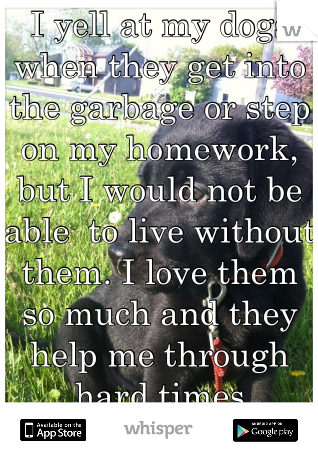 I yell at my dogs when they get into the garbage or step on my homework, but I would not be able  to live without them. I love them so much and they help me through hard times