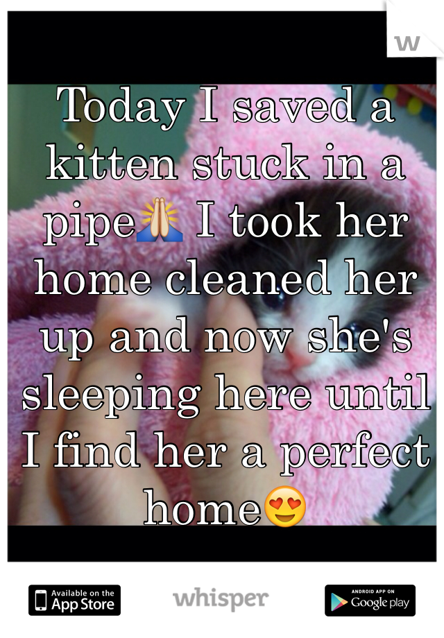 Today I saved a kitten stuck in a pipe🙏 I took her home cleaned her up and now she's sleeping here until I find her a perfect home😍