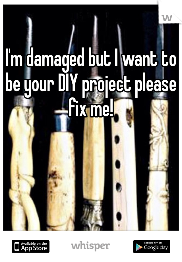 I'm damaged but I want to be your DIY project please fix me!
