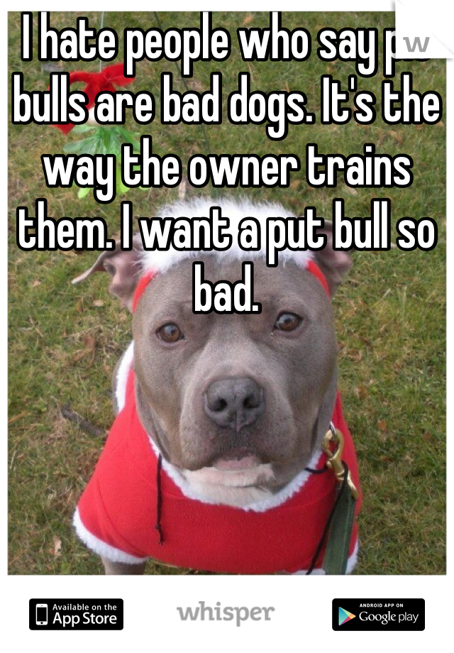 I hate people who say pit bulls are bad dogs. It's the way the owner trains them. I want a put bull so bad.