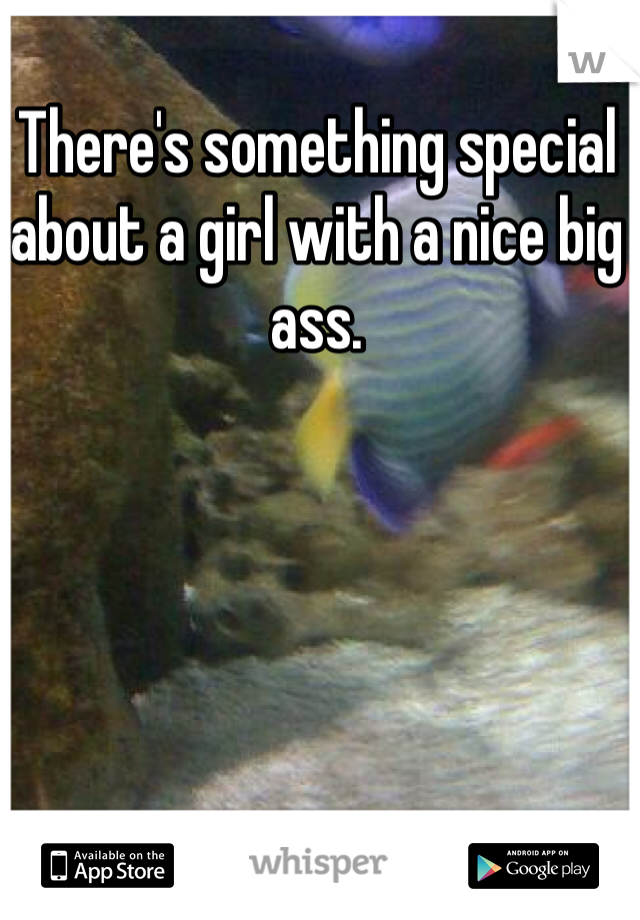 There's something special about a girl with a nice big ass. 