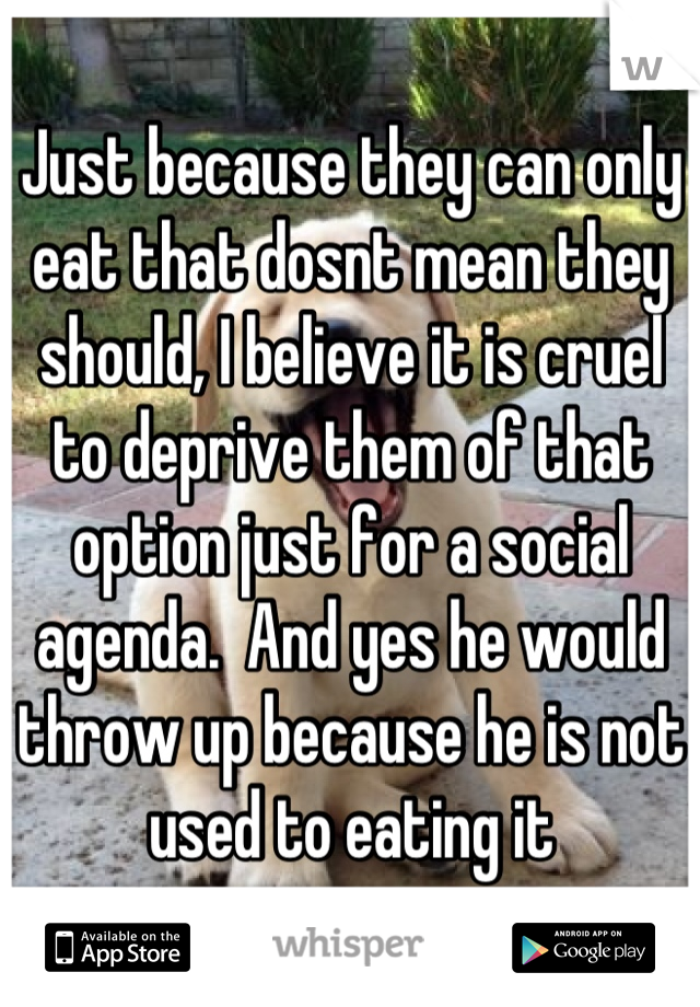 Just because they can only eat that dosnt mean they should, I believe it is cruel to deprive them of that option just for a social agenda.  And yes he would throw up because he is not used to eating it