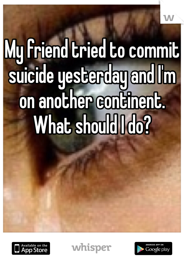 My friend tried to commit suicide yesterday and I'm on another continent. What should I do?