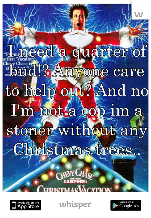 I need a quarter of bud!? Anyone care to help out? And no I'm not a cop im a stoner without any Christmas trees..