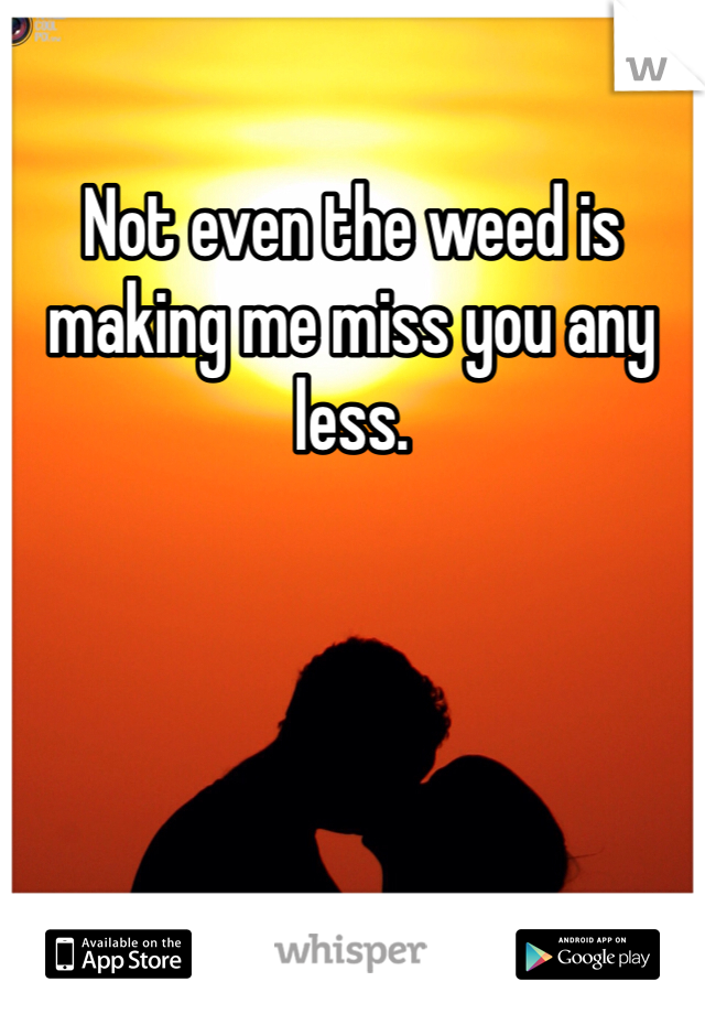 Not even the weed is making me miss you any less. 