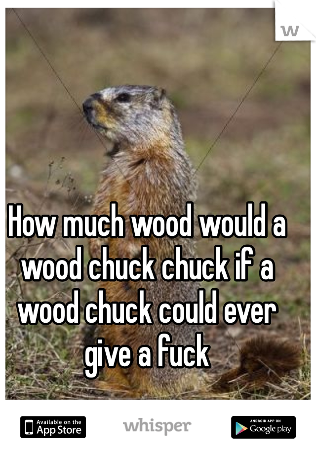 How much wood would a wood chuck chuck if a wood chuck could ever give a fuck