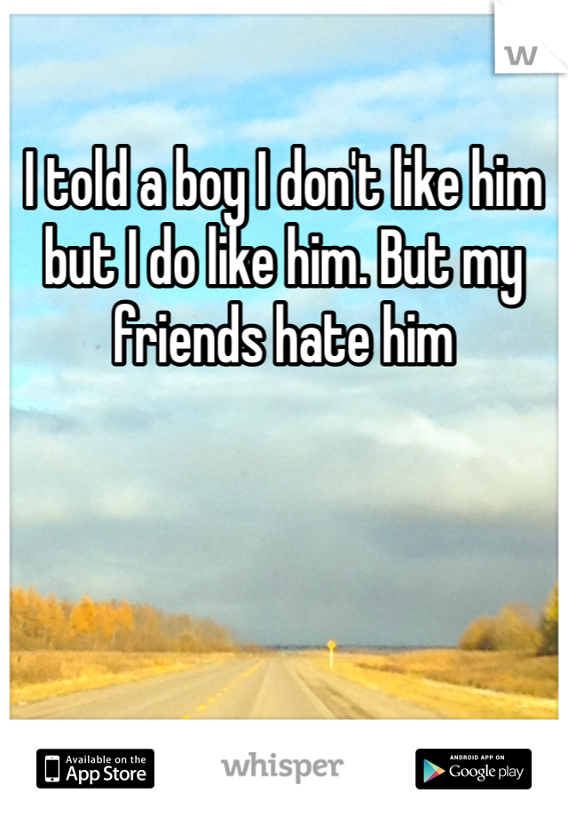 I told a boy I don't like him but I do like him. But my friends hate him