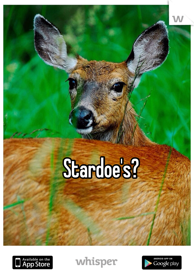 Stardoe's?