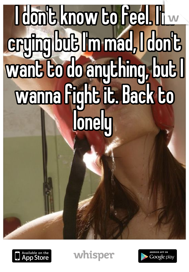 I don't know to feel. I'm crying but I'm mad, I don't want to do anything, but I wanna fight it. Back to lonely 