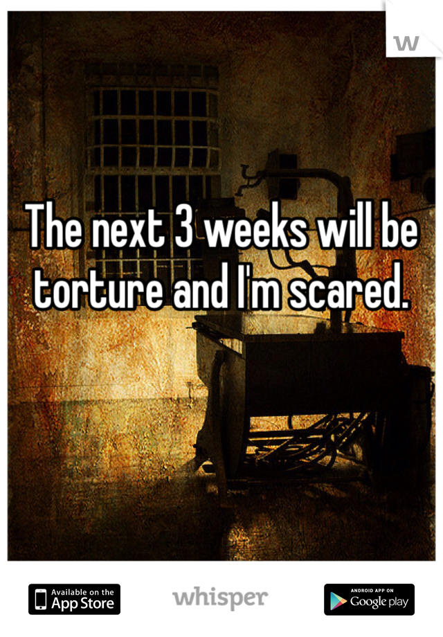 The next 3 weeks will be torture and I'm scared.
