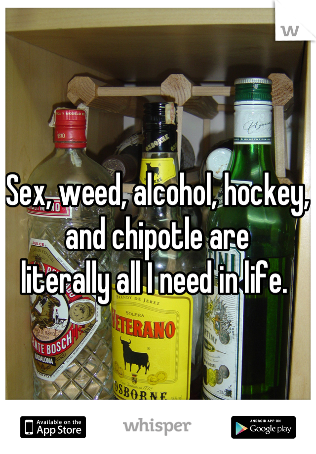 Sex, weed, alcohol, hockey,
and chipotle are 
literally all I need in life. 