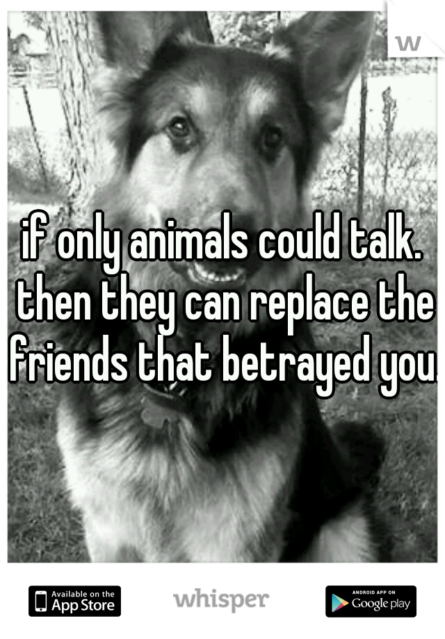if only animals could talk. then they can replace the friends that betrayed you.