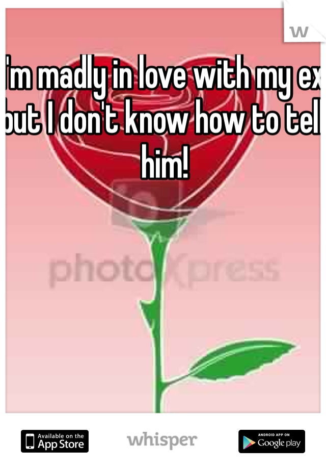 I'm madly in love with my ex but I don't know how to tell him!