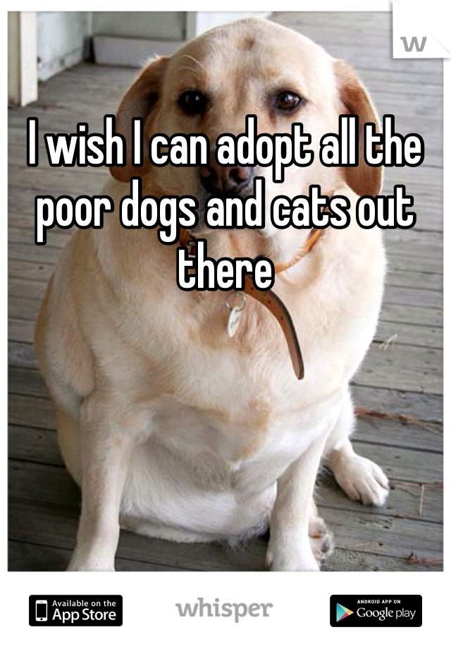 I wish I can adopt all the poor dogs and cats out there 