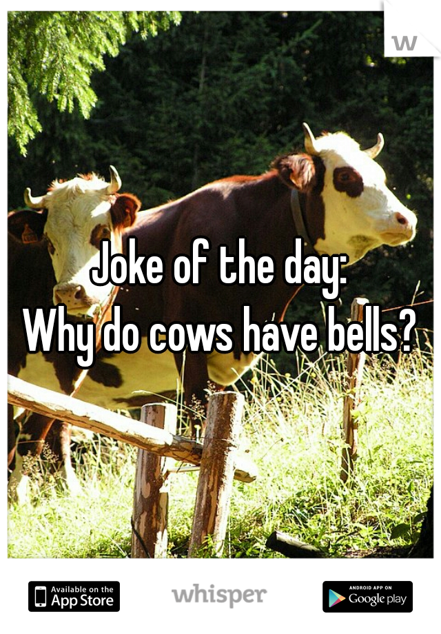 Joke of the day:
Why do cows have bells?