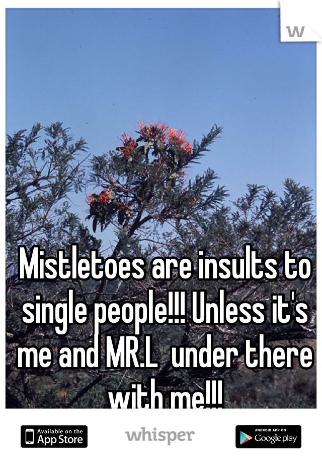 Mistletoes are insults to single people!!! Unless it's me and MR.L  under there with me!!! 