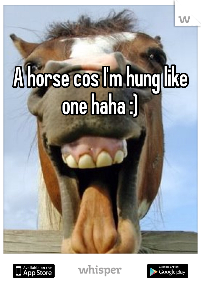A horse cos I'm hung like one haha :)