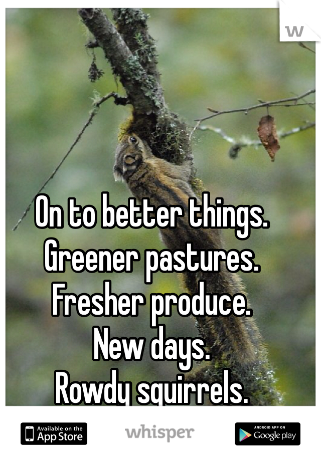 On to better things. 
Greener pastures. 
Fresher produce. 
New days. 
Rowdy squirrels. 