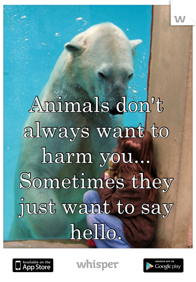Animals don't always want to harm you... Sometimes they just want to say hello.