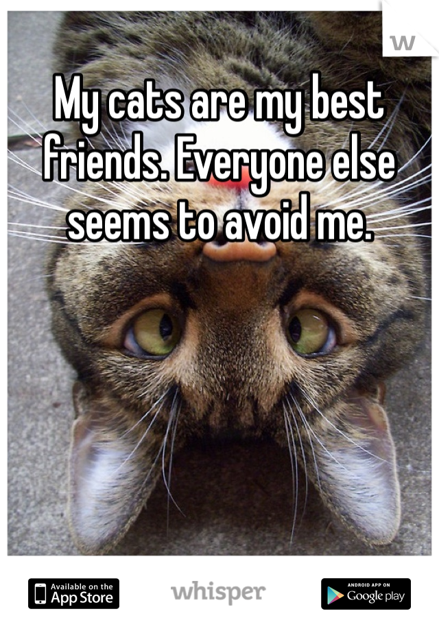 My cats are my best friends. Everyone else seems to avoid me.