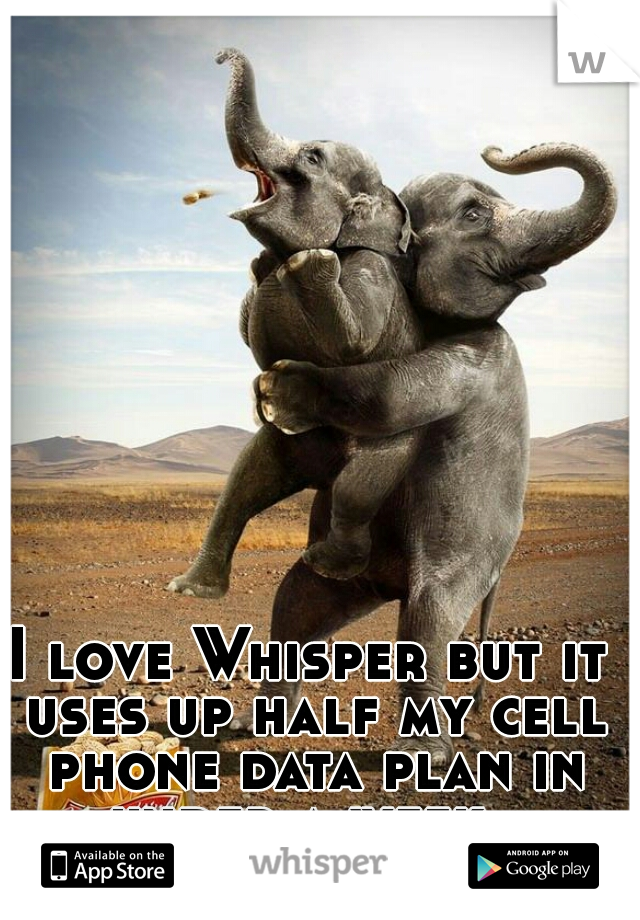 I love Whisper but it uses up half my cell phone data plan in under a week. 

The struggle is real!