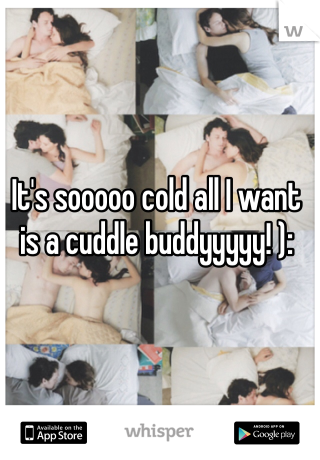 It's sooooo cold all I want is a cuddle buddyyyyy! ):