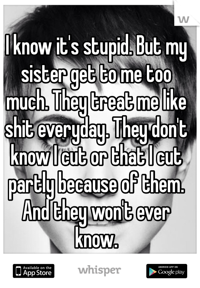 I know it's stupid. But my sister get to me too much. They treat me like shit everyday. They don't know I cut or that I cut partly because of them. And they won't ever know. 
