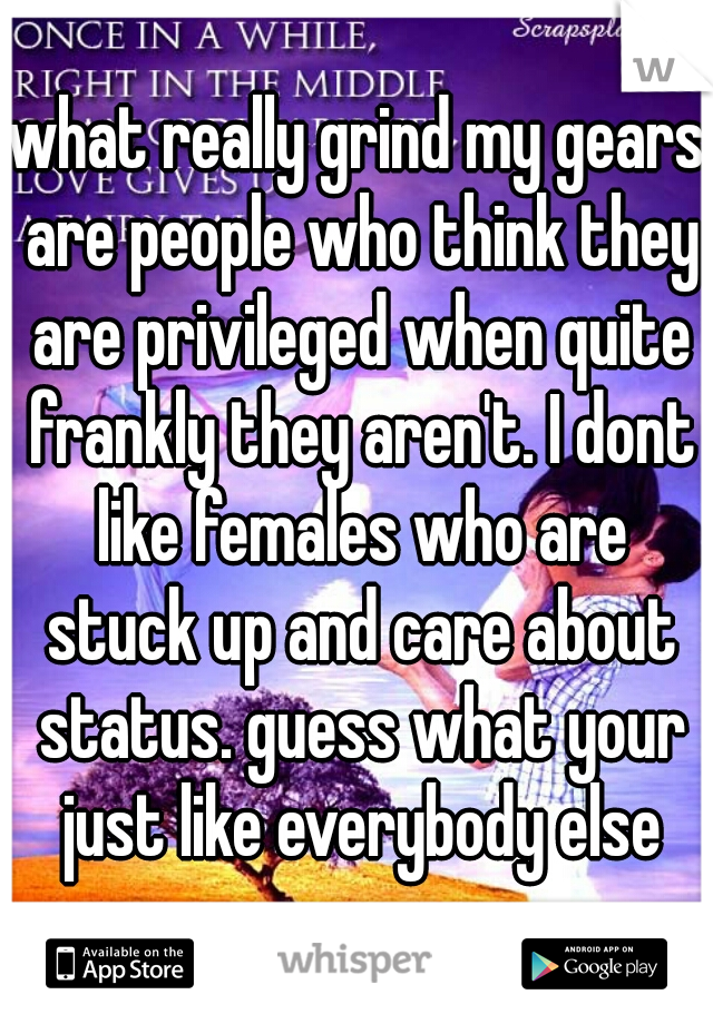 what really grind my gears are people who think they are privileged when quite frankly they aren't. I dont like females who are stuck up and care about status. guess what your just like everybody else