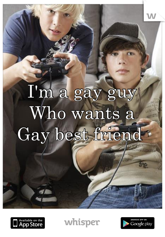 I'm a gay guy 
Who wants a
Gay best friend 