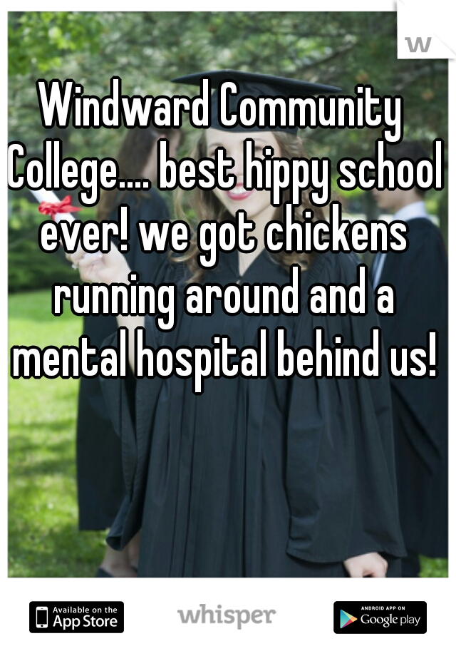 Windward Community College.... best hippy school ever! we got chickens running around and a mental hospital behind us!