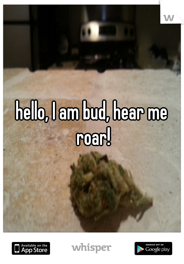 hello, I am bud, hear me roar!