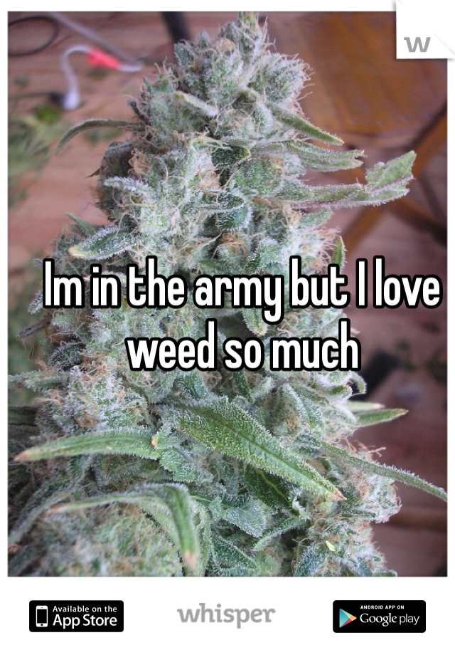 Im in the army but I love weed so much 