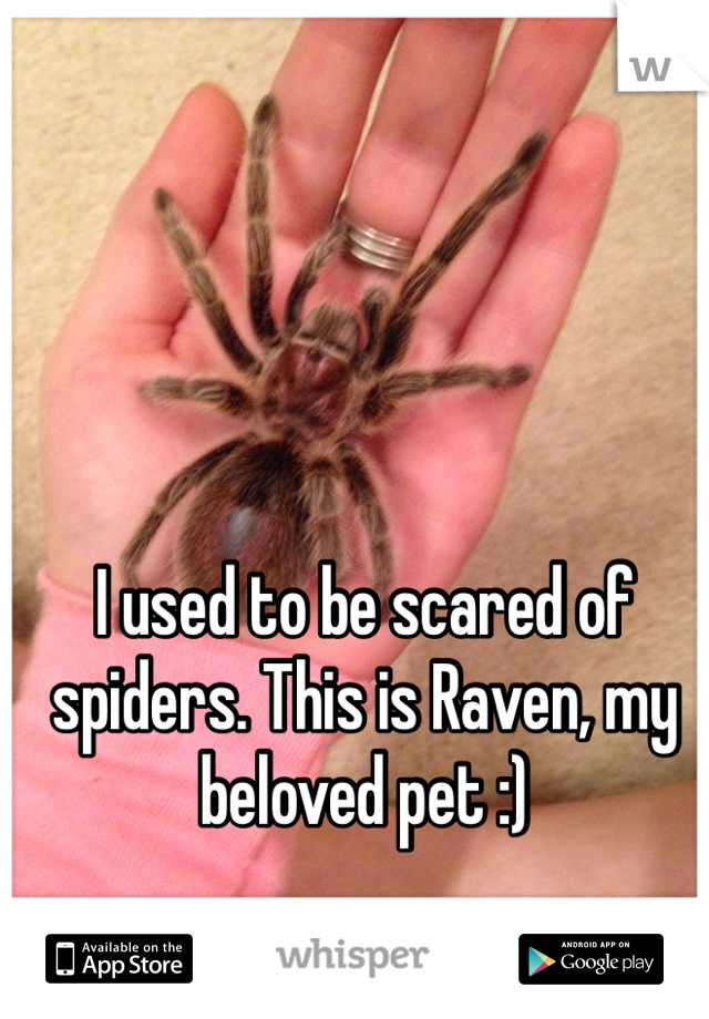 I used to be scared of spiders. This is Raven, my beloved pet :)