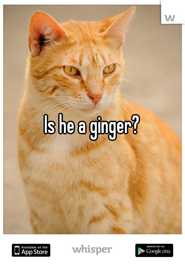 Is he a ginger?