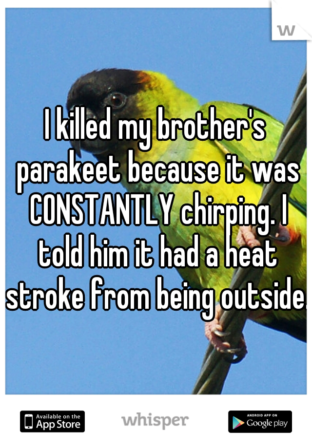 I killed my brother's parakeet because it was CONSTANTLY chirping. I told him it had a heat stroke from being outside.