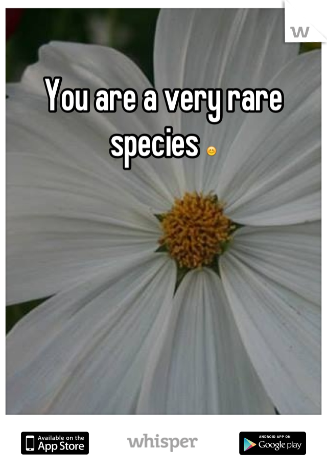 You are a very rare species 😊