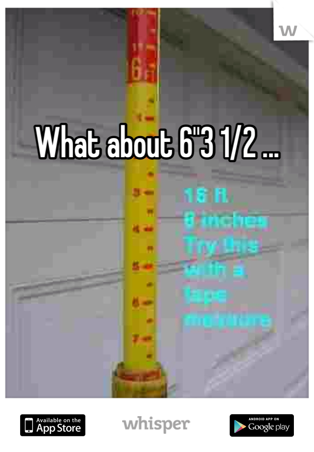What about 6"3 1/2 ...