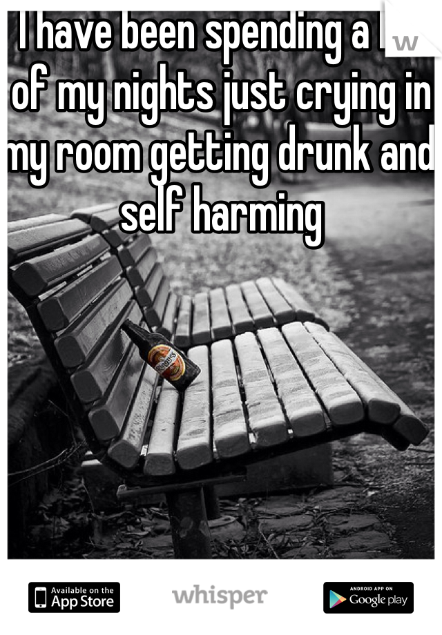 I have been spending a lot of my nights just crying in my room getting drunk and self harming