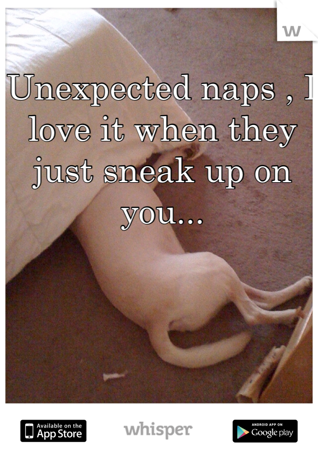 Unexpected naps , I love it when they just sneak up on you... 