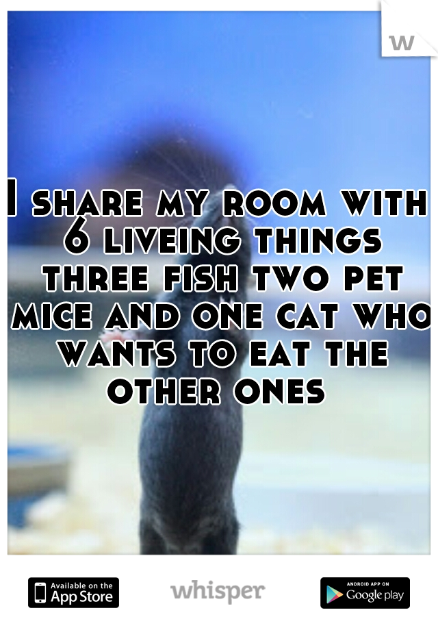 I share my room with 6 liveing things three fish two pet mice and one cat who wants to eat the other ones 