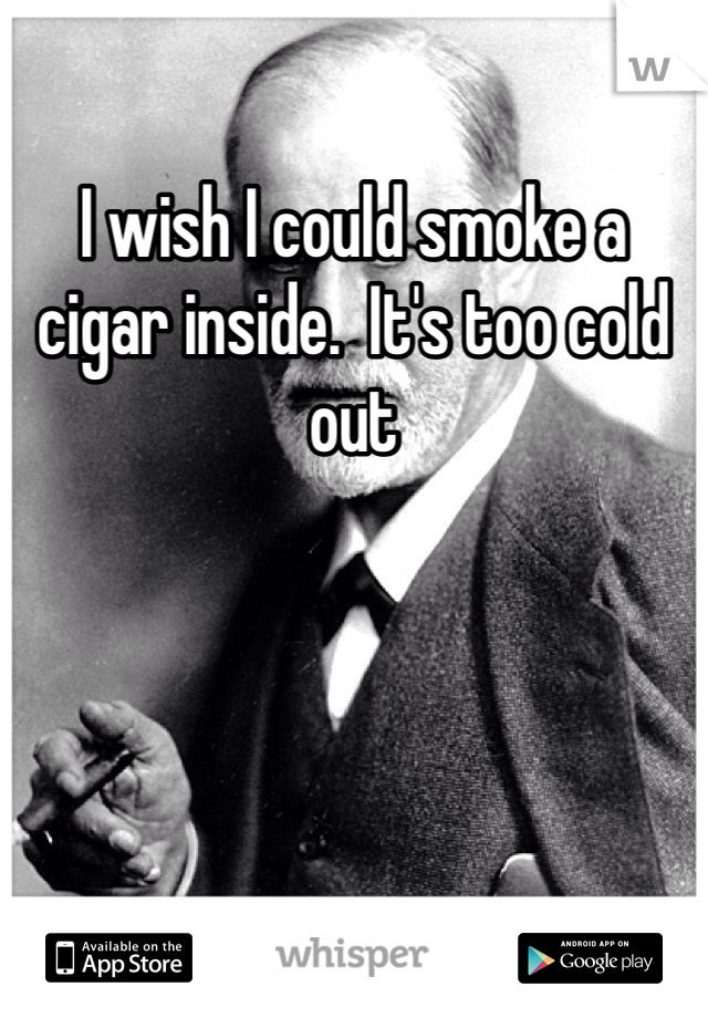 I wish I could smoke a cigar inside.  It's too cold out 