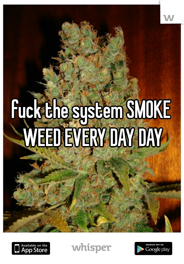 fuck the system SMOKE WEED EVERY DAY DAY