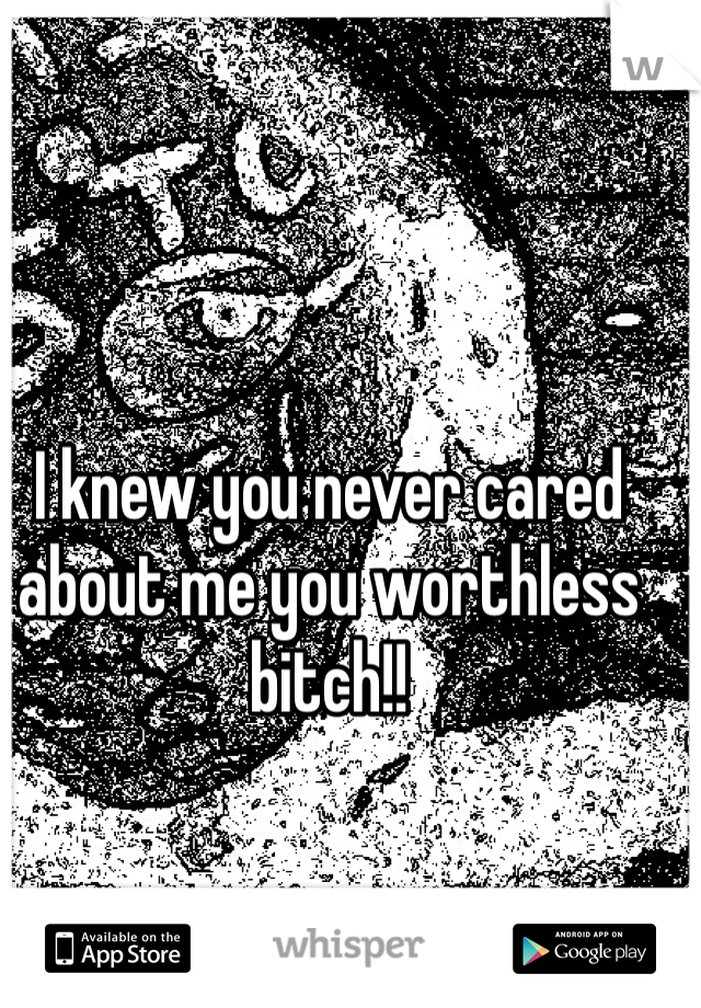 I knew you never cared about me you worthless bitch!!