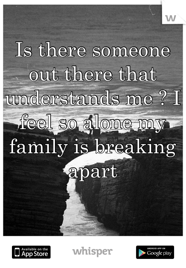 Is there someone out there that understands me ? I feel so alone my family is breaking apart 