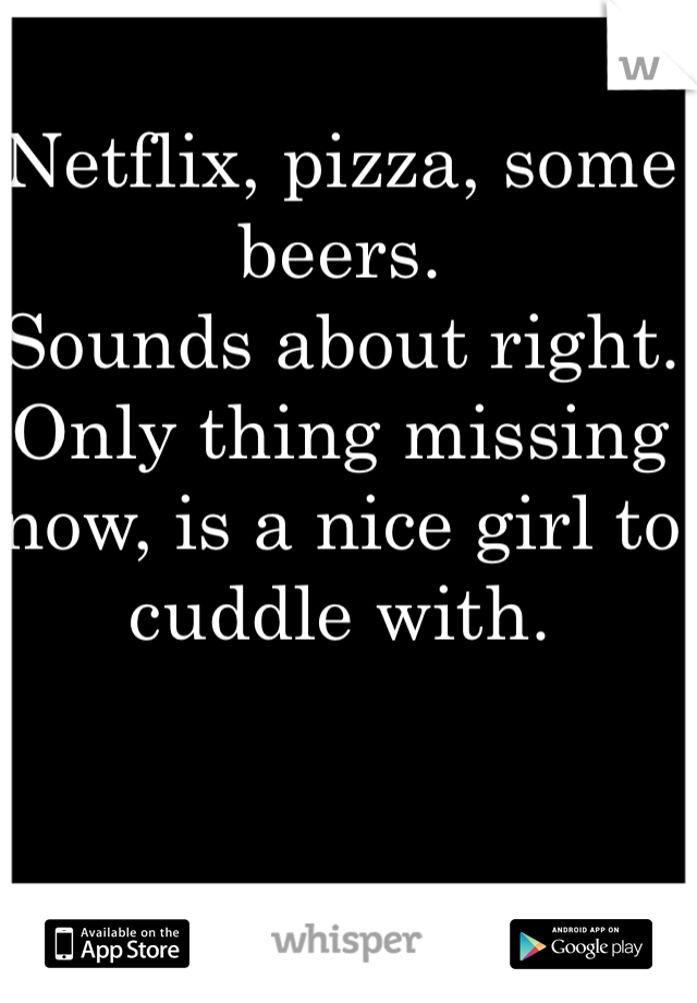 Netflix, pizza, some beers. 
 Sounds about right. Only thing missing now, is a nice girl to cuddle with. 