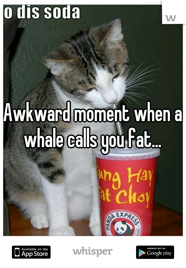 Awkward moment when a whale calls you fat... 