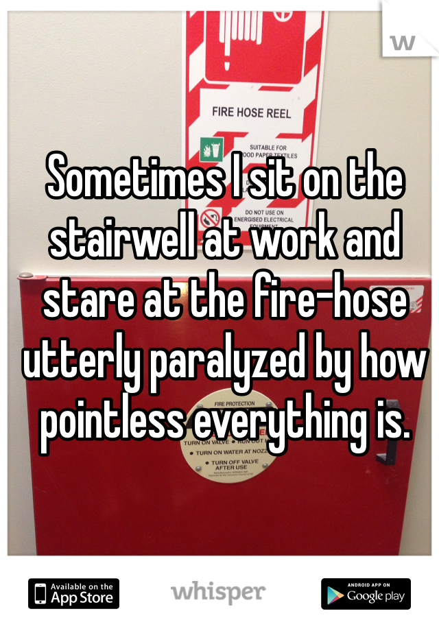 Sometimes I sit on the stairwell at work and stare at the fire-hose utterly paralyzed by how pointless everything is. 