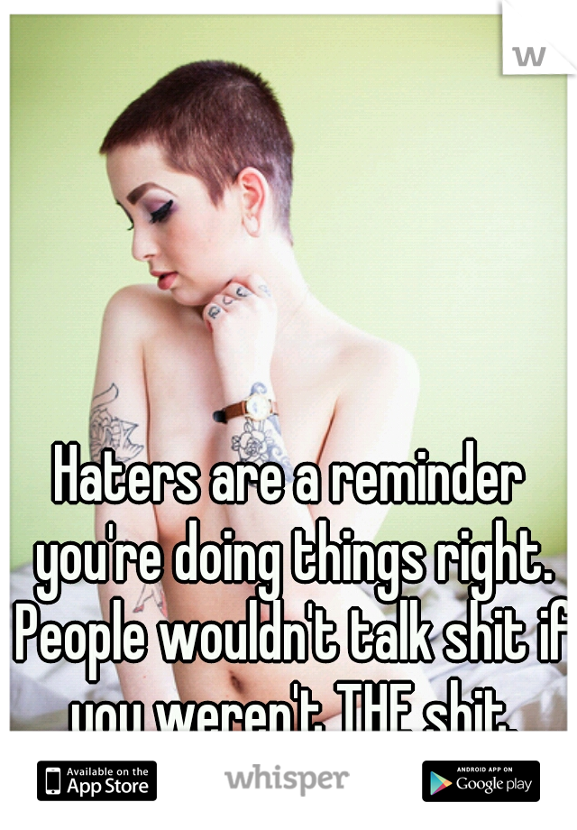 Haters are a reminder you're doing things right. People wouldn't talk shit if you weren't THE shit.