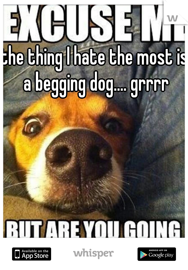 the thing I hate the most is a begging dog.... grrrr