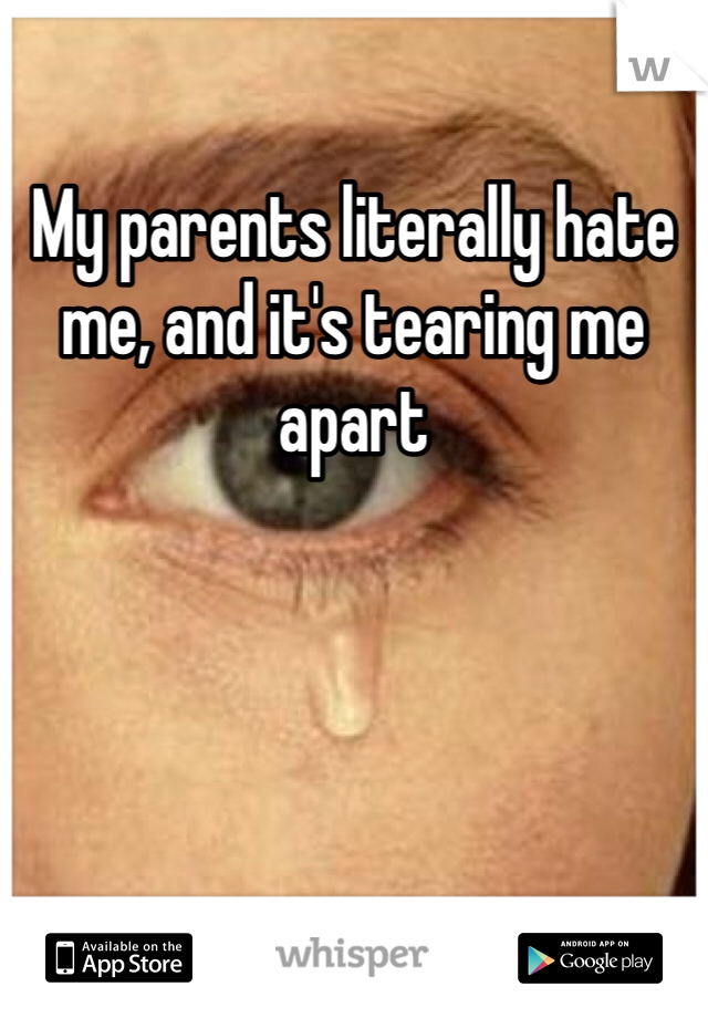 My parents literally hate me, and it's tearing me apart